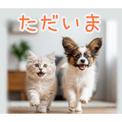 PAKAMOGOLY_20260202224237