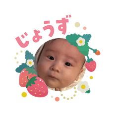 Miya_20260203013511