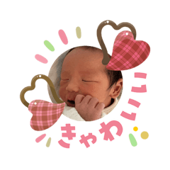 mqssqn_20260203013600