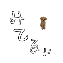 Maimai_20260203101559