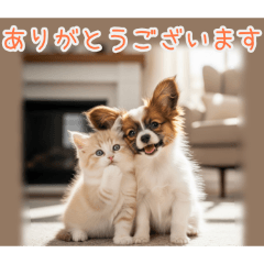 PAKAMOGOLY_20260203101416