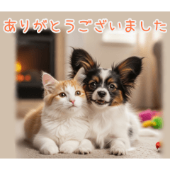 PAKAMOGOLY_20260203101500