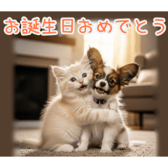 PAKAMOGOLY_20260203101324