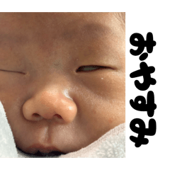 Yoshi_20260203102411