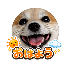 yuitaronobouken_20260201080534