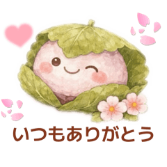 SAKURA mochi@