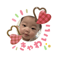 nozoo_20260203065212