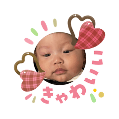 kohada_20260203104235