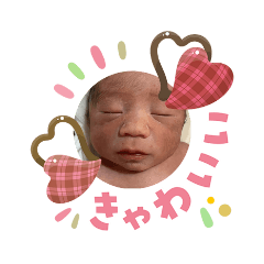 TAIJI_20260203104441