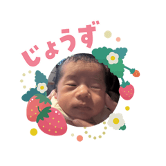 tatsu_20260203105252