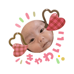 masaru suis_20260203105732