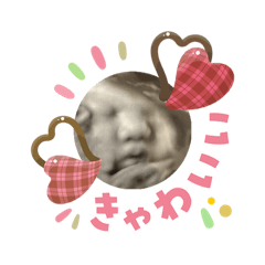 RISOYA_20260203105749