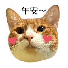 皮蛋胖肉粥（淼+牙）