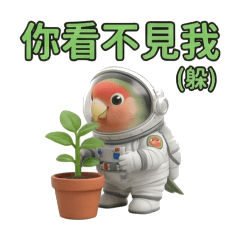 橘子柚子啾咪系列-6