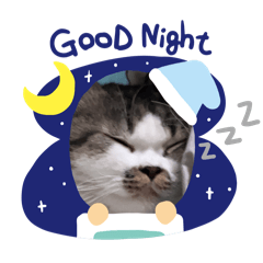 Mr.Phakhin_20260202193038