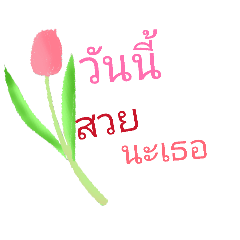 Nattamon_20260202195839