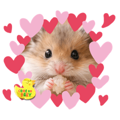 My hamster_20260202200459