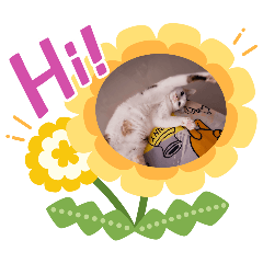 yaipapng001_20260202214749