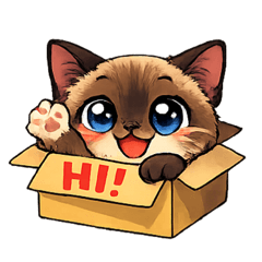 Nana108_20260202192902