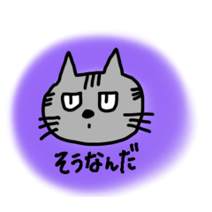 pekkori45_20260202162250