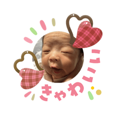 HonaHima_20260203103552