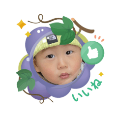 ninomayu_20260203103700