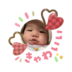 nabeshin_20260203103729