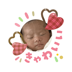 ETSUYO_20260203104844