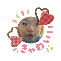 beruku_20260203091839