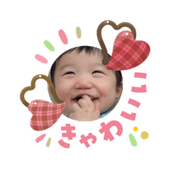 merimeri1166_20260203091819