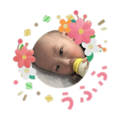 Nakachan_20260203110554