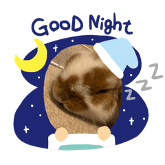 misaki_20260203110918