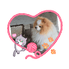 elizabeth8190_20260203111310