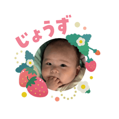 souchong_20260203111258