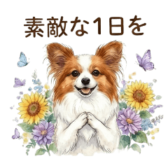 2008PAPILLON_20260203092222