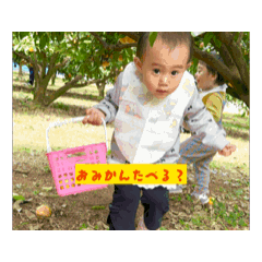 SANAtaro_20260203115417