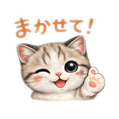 suzuka_20260203100204