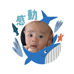 Hoshiyuka_20260203100708