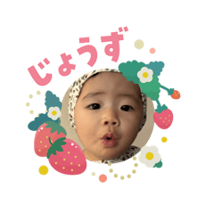 cholo_20260203100520