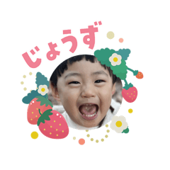 harumama_20260203101156