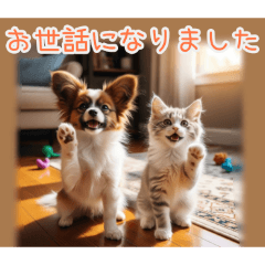 PAKAMOGOLY_20260203101159