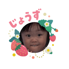 meipapa_20260203113537