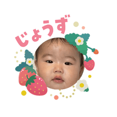 K.NISHI_20260203113516