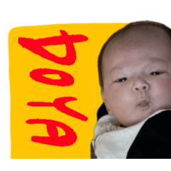 okome_20260203113956