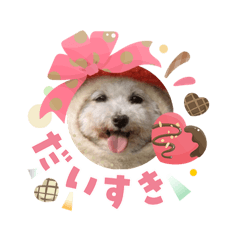 MatsuKen_20260203114453