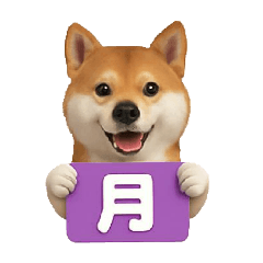 ayame_20260203142522