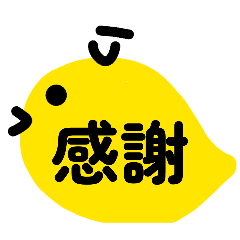 ma-ya_20260202220112