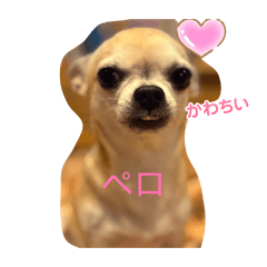 kureha_20260202220524