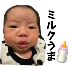 miiko_20260202221757