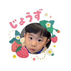 YK_20260203103225